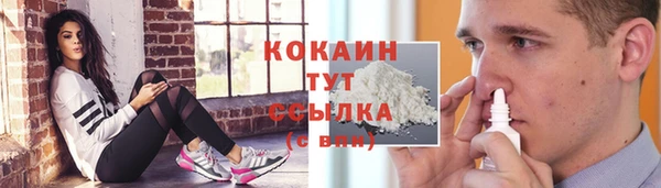 spice Дмитровск