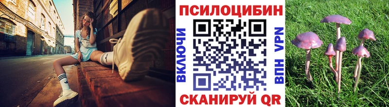 Купить закладки  Серов  Псилоцибиновые грибы прущие грибы 